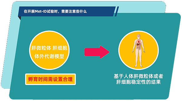 肝微粒体、肝细胞体外代谢模型中，孵育时间需设置合理.jpg