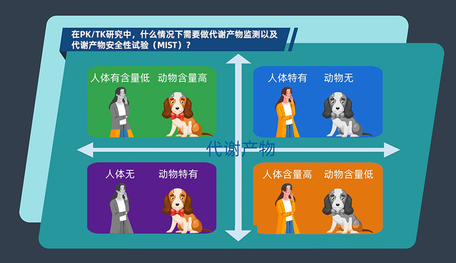 在PK-TK研究中，什么情况下需要做代谢产品监测以及代谢产品安全性试验（MIST）