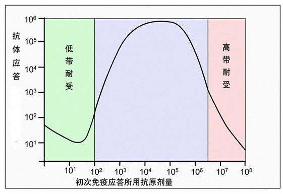 Figure-2-免疫应答发生抗体依赖于初次免疫应答所用抗原剂量.jpg Figure-2-免疫应答发生抗体依赖于初次免疫应答所用抗原剂量.jpg